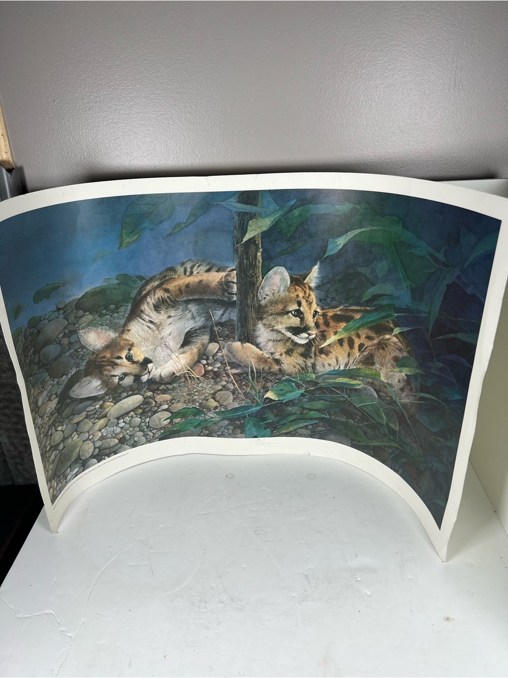 Vintage Mitchell Tolle (Lakota) #97 Hand Painted Art Work